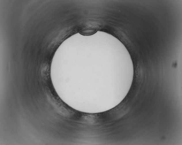 X0000115480079200912041003