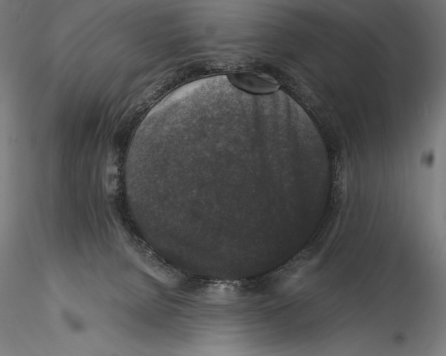 X0000115480080200912041003