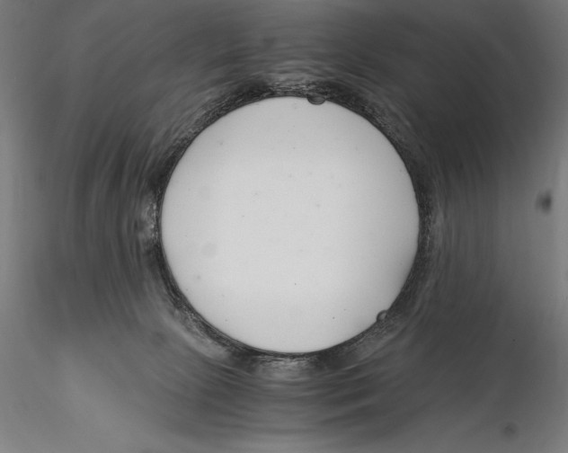 X0000115480081200912041003
