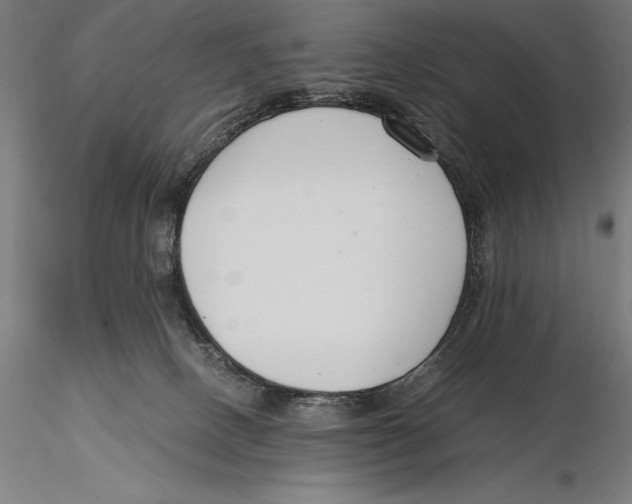 X0000115480082200912041003