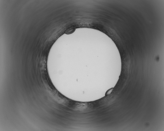 X0000115480083200912041003