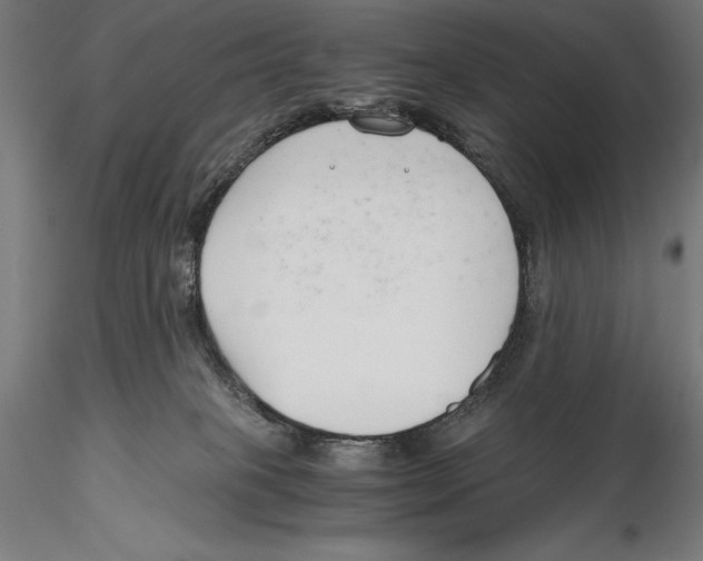 X0000115480085200912041003