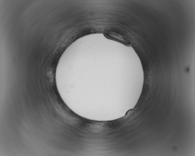 X0000115480086200912041003