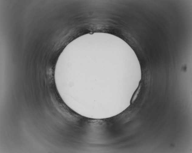 X0000115480087200912041003