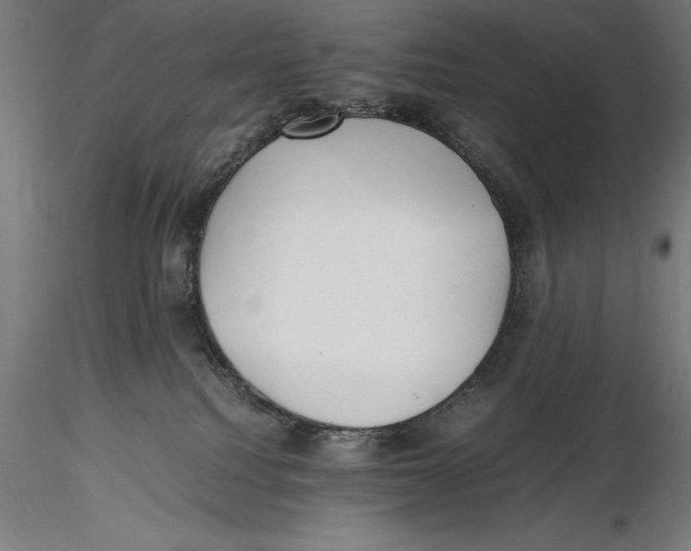 X0000115480088200912041003