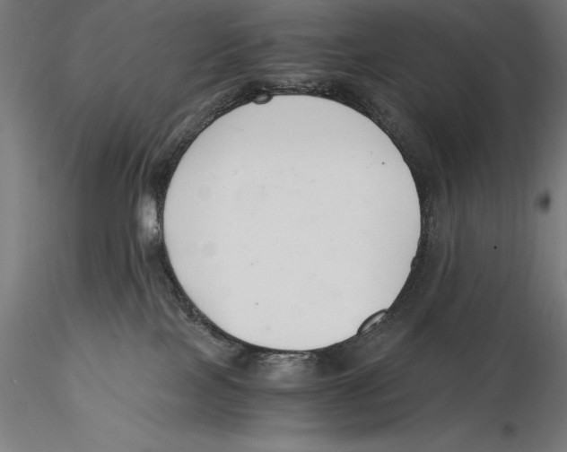 X0000115480089200912041003