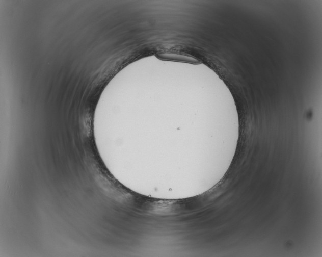 X0000115480090200912041003