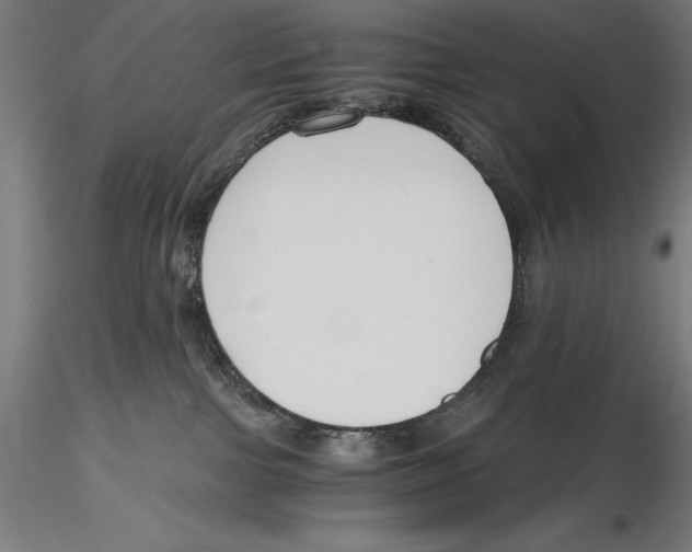 X0000115480091200912041003