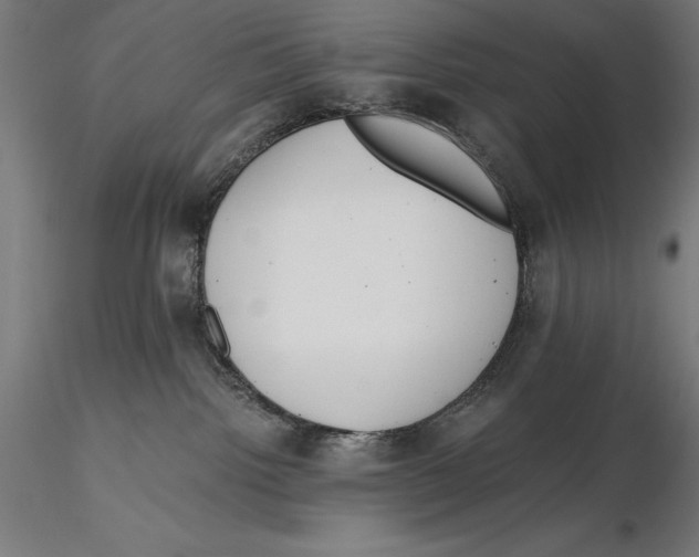 X0000115480092200912041003