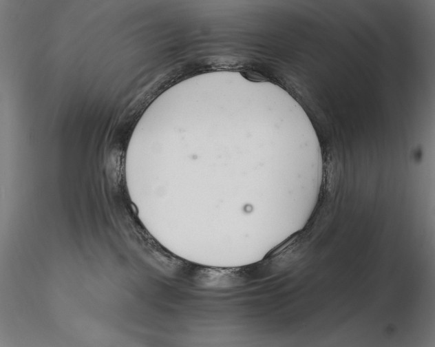 X0000115480093200912041003