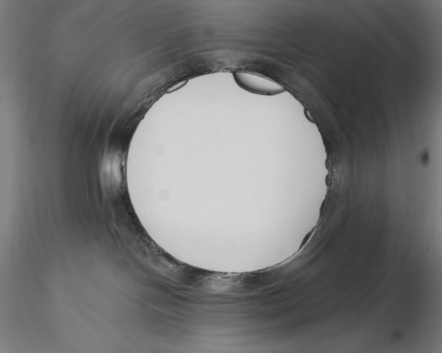 X0000115480094200912041003