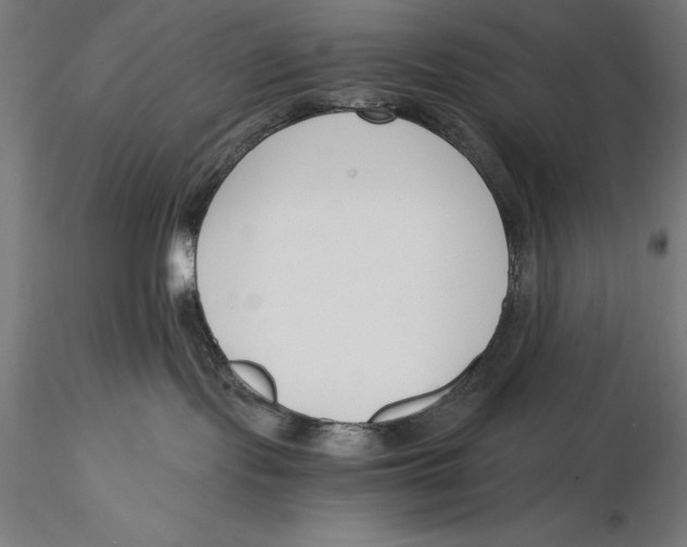 X0000115480095200912041003