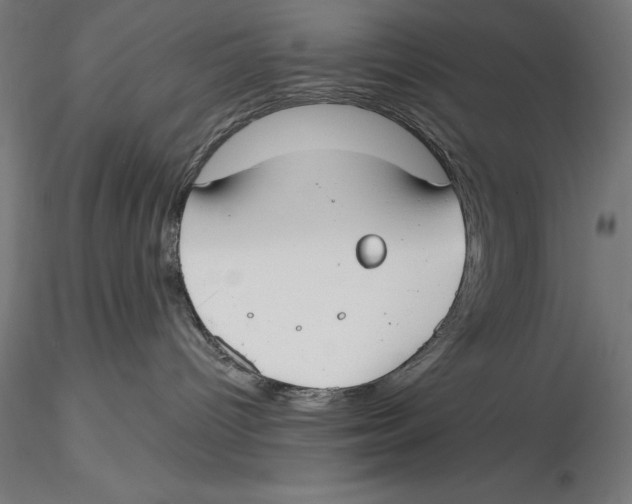 X0000115480096200912041003