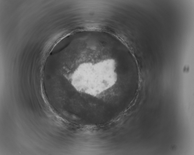 X0000115480097200912041002