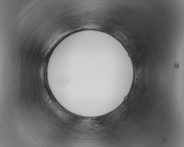 X0000115480098200912041002