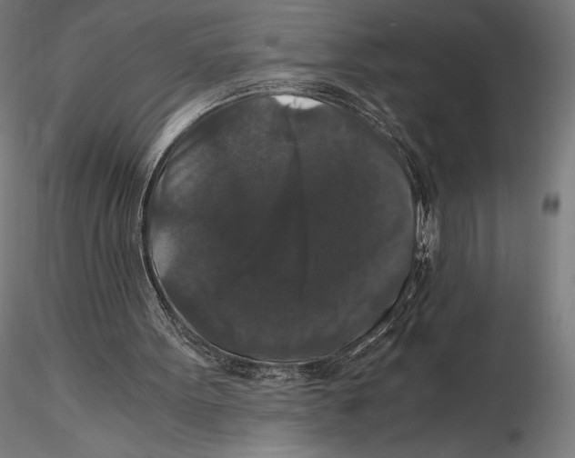 X0000115480099200912041002