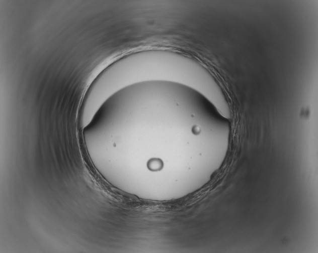 X0000115480100200912041002