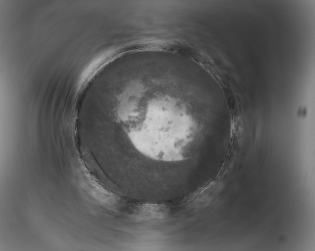 X0000115480101200912041002