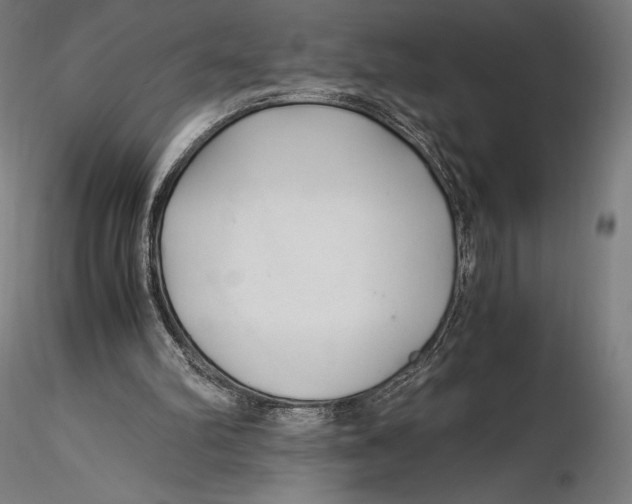 X0000115480102200912041002
