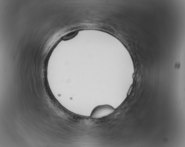 X0000115480103200912041002