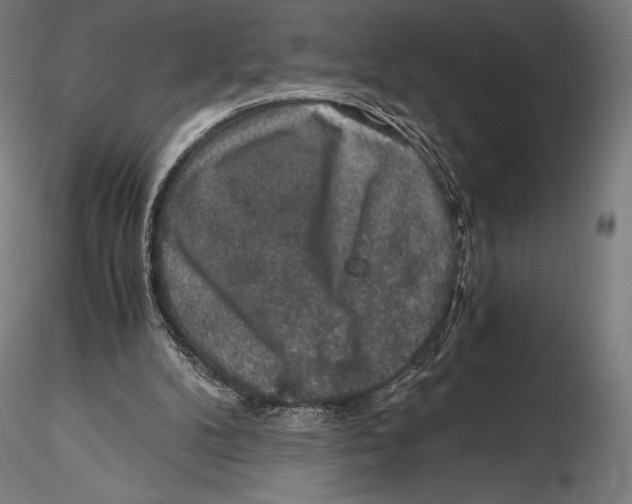 X0000115480104200912041002