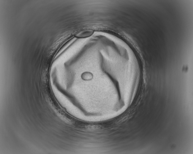 X0000115480105200912041002