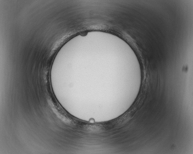 X0000115480106200912041002