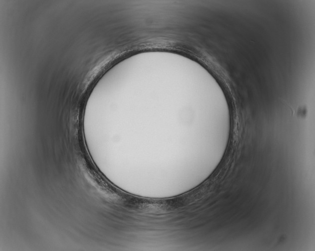 X0000115480107200912041002
