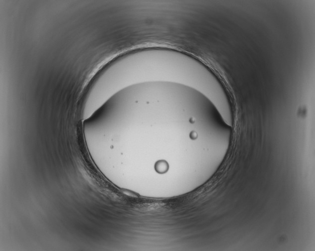 X0000115480108200912041002