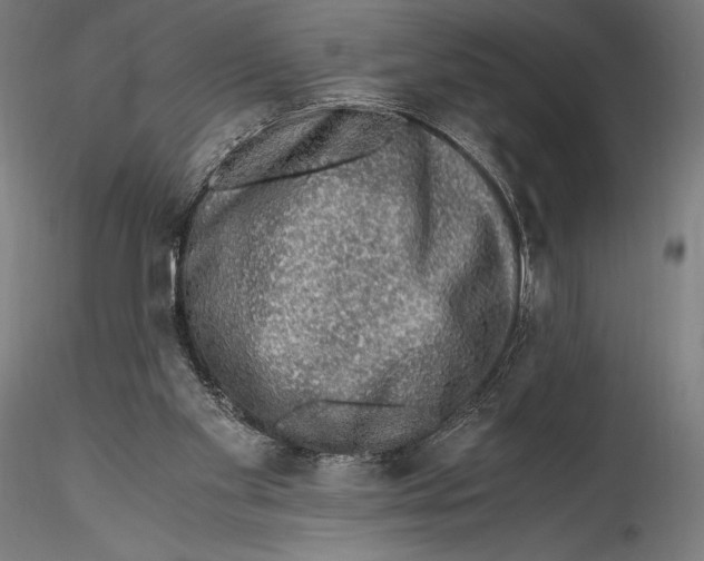 X0000115480109200912041002