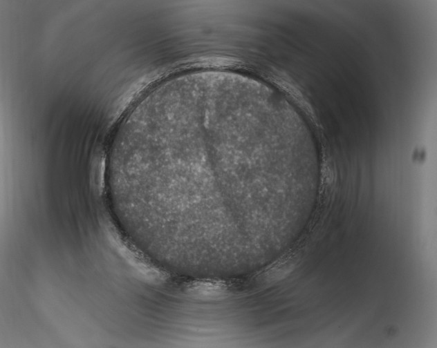 X0000115480110200912041002