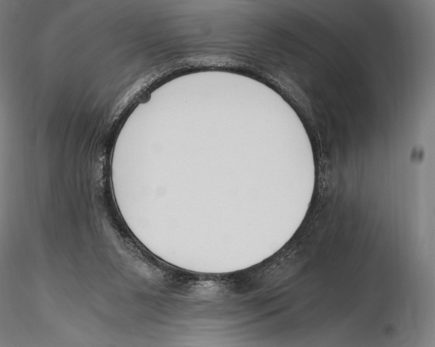 X0000115480111200912041002