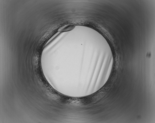 X0000115480113200912041002