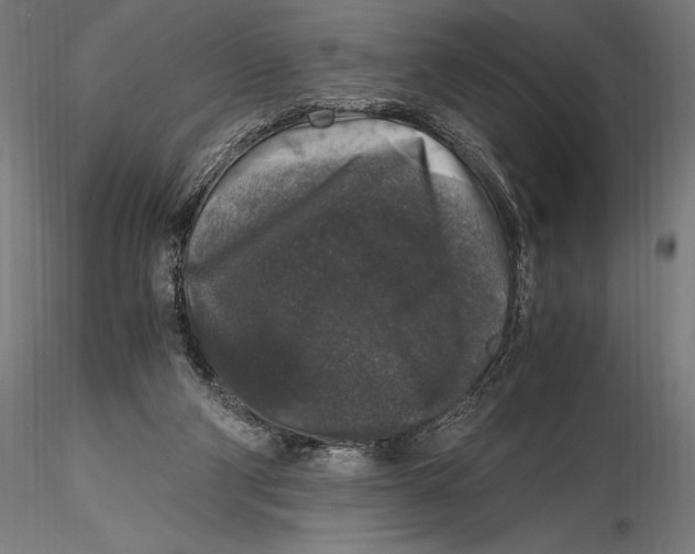 X0000115480114200912041002