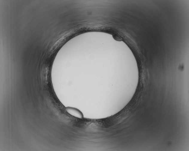 X0000115480115200912041002