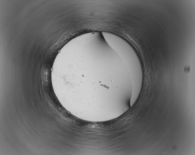 X0000115480117200912041002