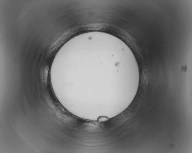 X0000115480118200912041002