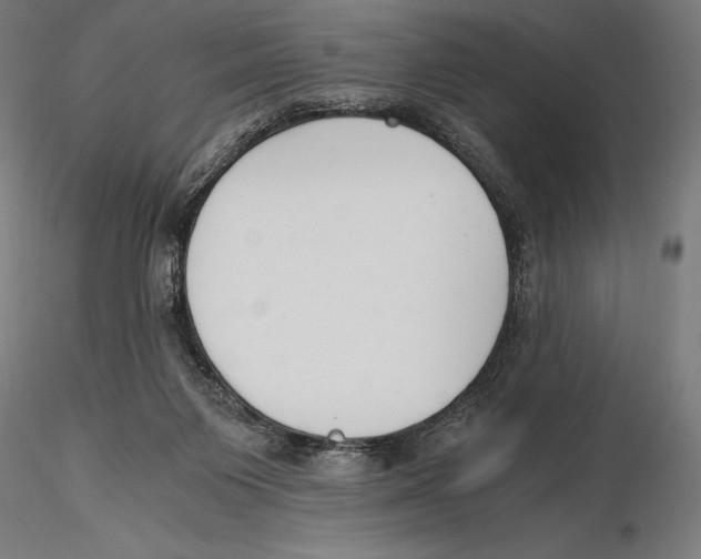 X0000115480119200912041002