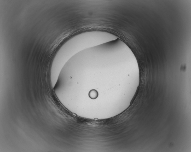 X0000115480120200912041002