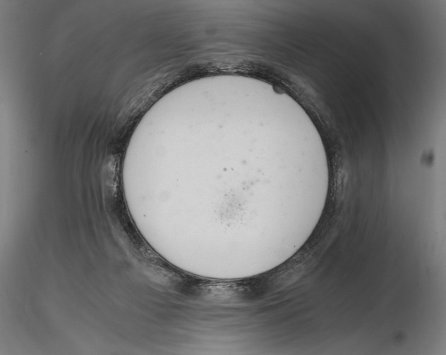 X0000115480121200912041002