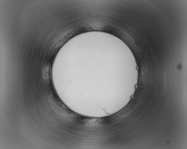 X0000115480122200912041002