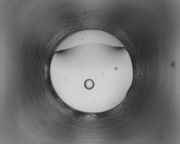 X0000115480124200912041002