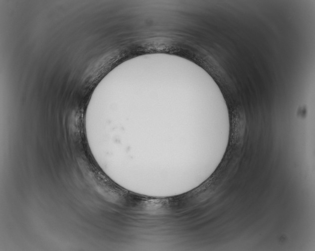 X0000115480126200912041002