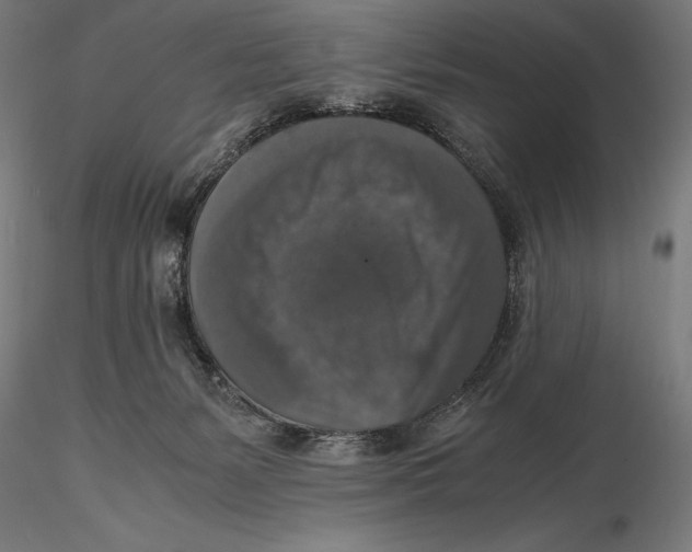 X0000115480127200912041002