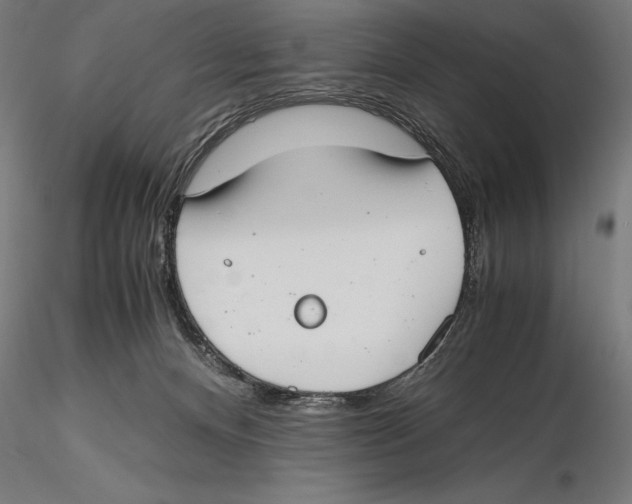 X0000115480128200912041002