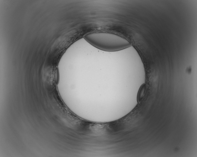 X0000115480129200912041002