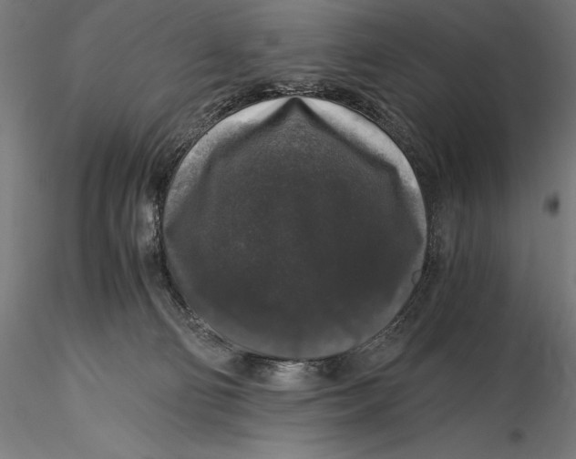 X0000115480130200912041002