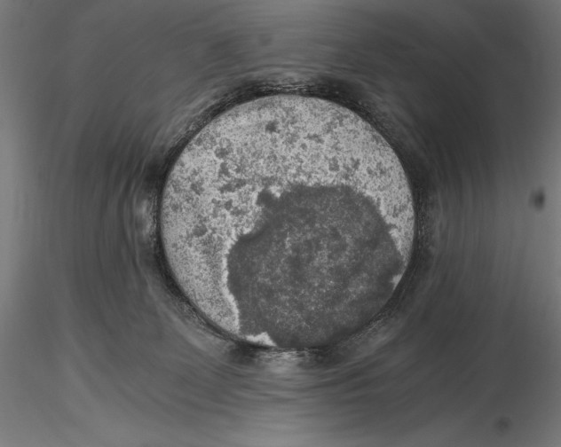 X0000115480131200912041002