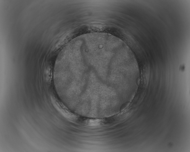 X0000115480134200912041002