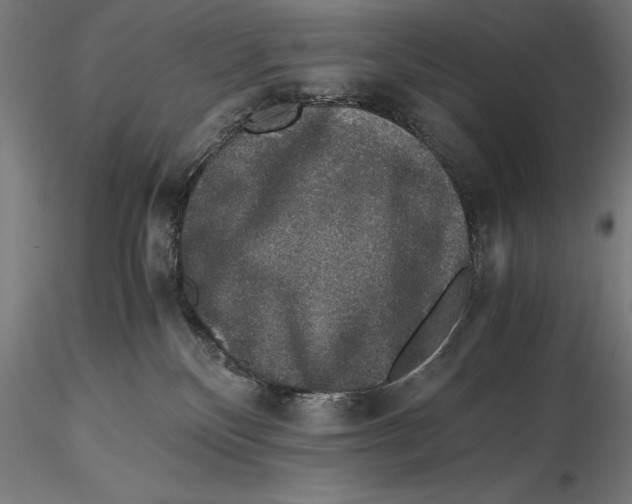 X0000115480136200912041002